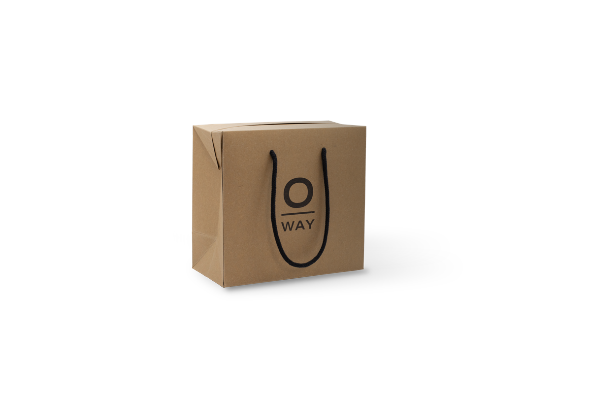 eco-bowler bag l