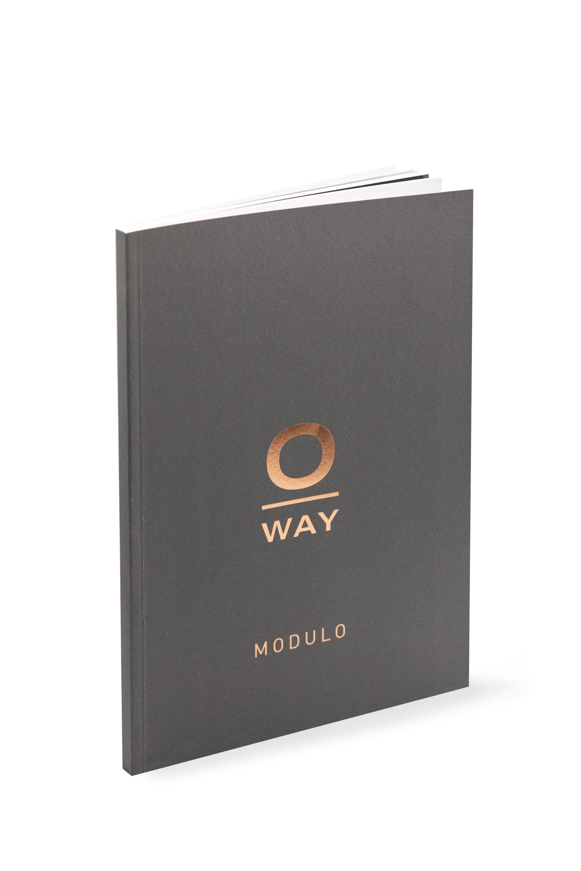 modulo