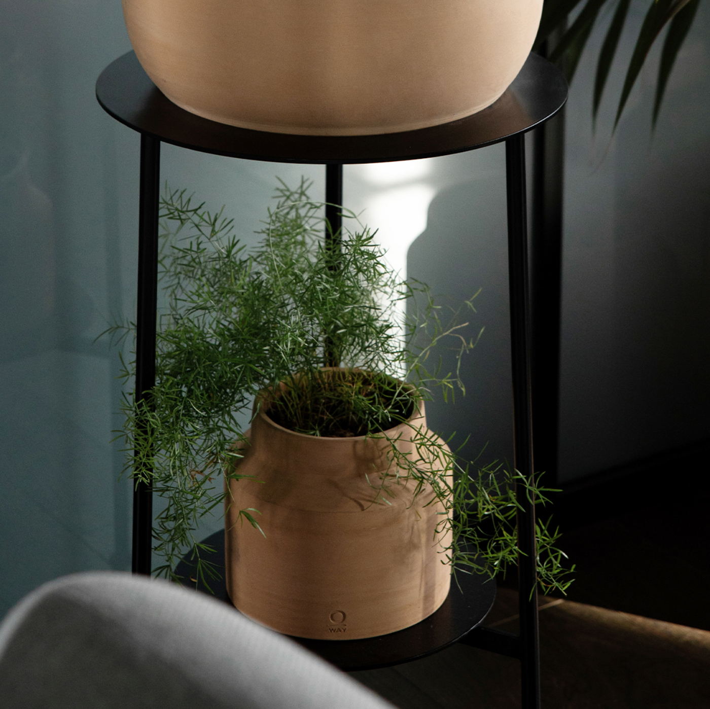 stallo (black)